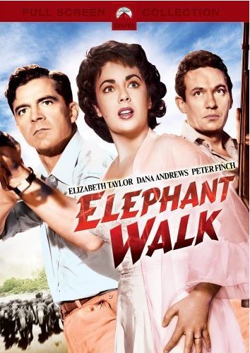 A wonderful film with a young Elizabeth Taylor - in my head it is in black and white. 