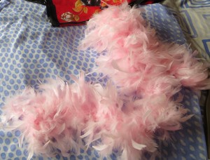 Do I really need the pink feather boa? If not here, where will I ever wear it?