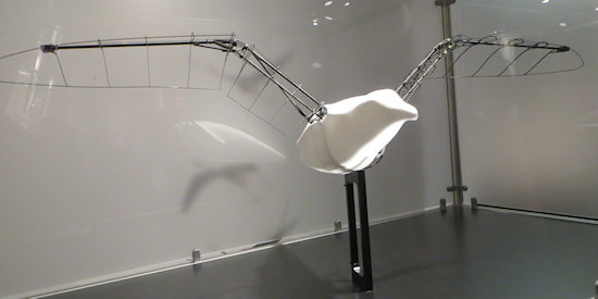 The model of the smart bird in the museum.
