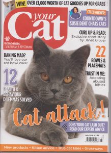 The magazine - what a spectacular grey cat on the cover!