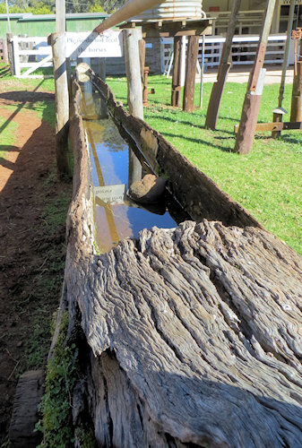 Hollowed out tree truck make great water troughs - and they are free. I'll bet there are many still in use today.